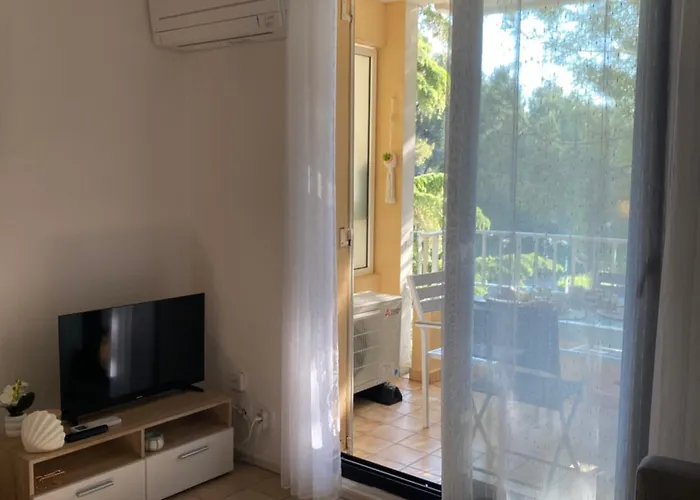 Coudou Daire Six-Fours-les-Plages