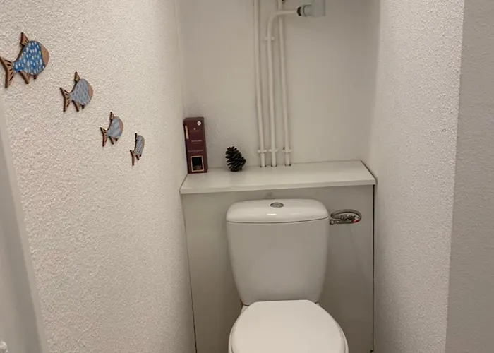 Coudou Daire Six-Fours-les-Plages